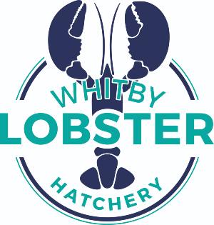 Whitby Lobster Hatchery